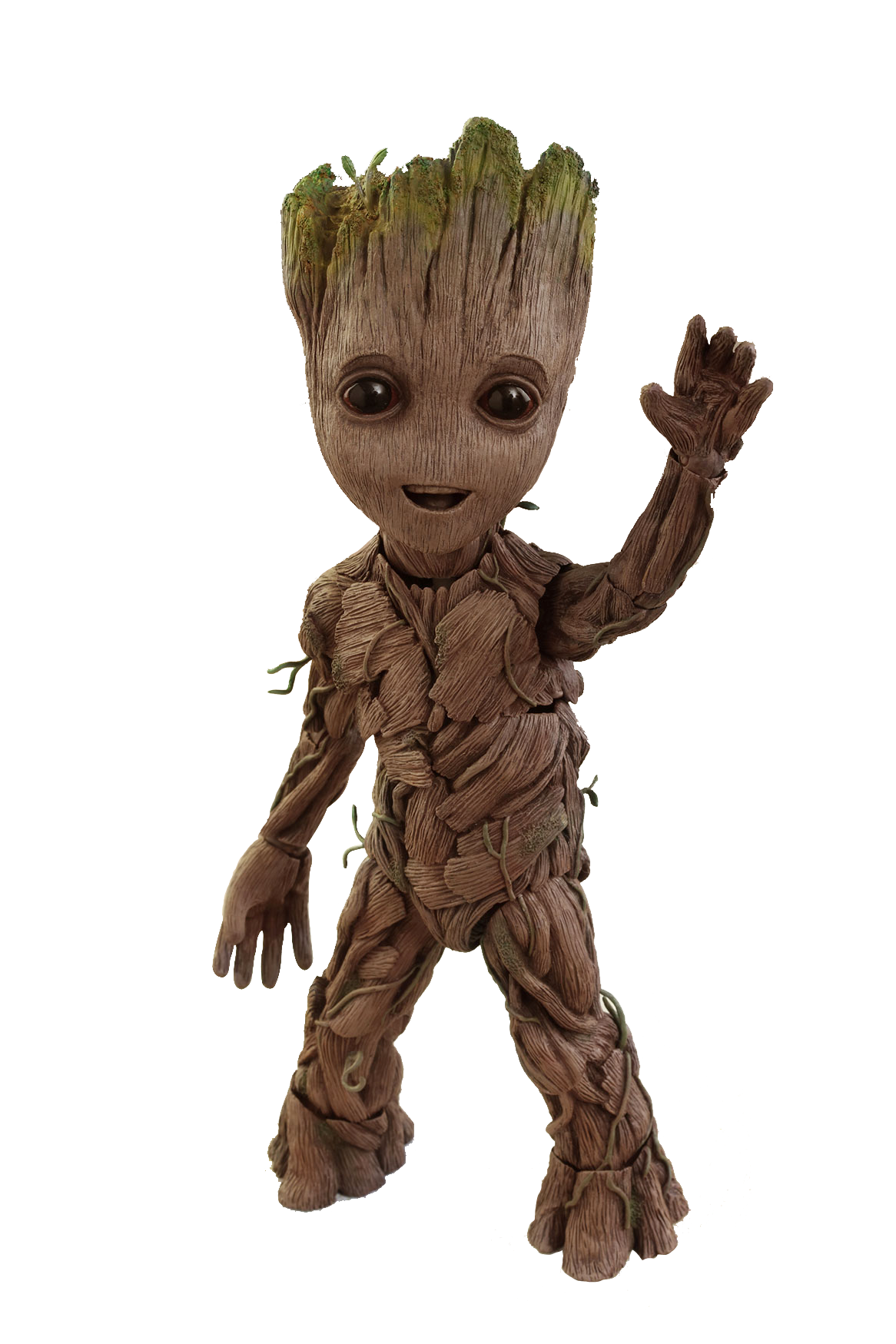 Groot